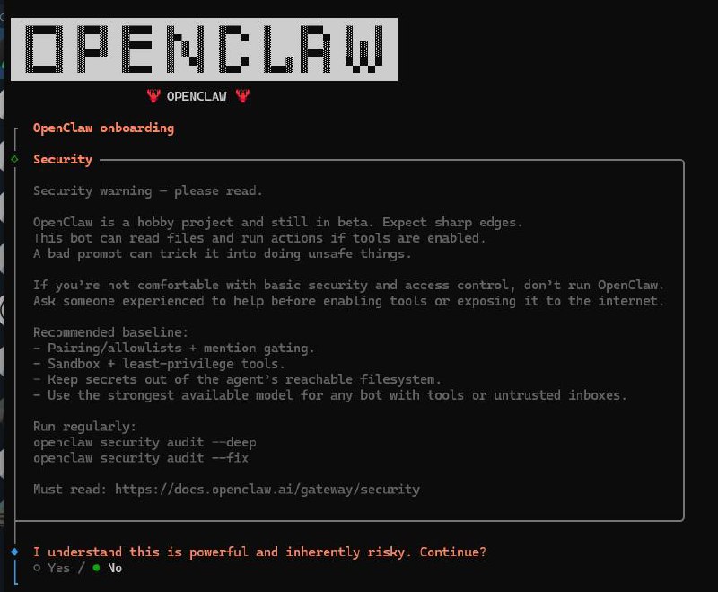 OpenClaw 安装向导 - 安全警告