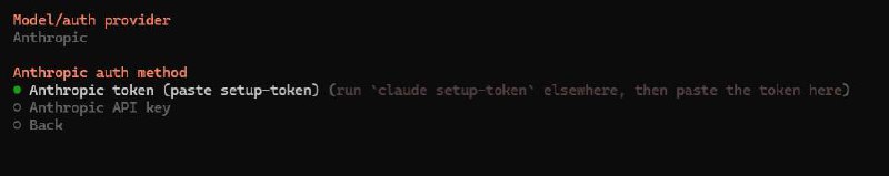 选择 Model Provider