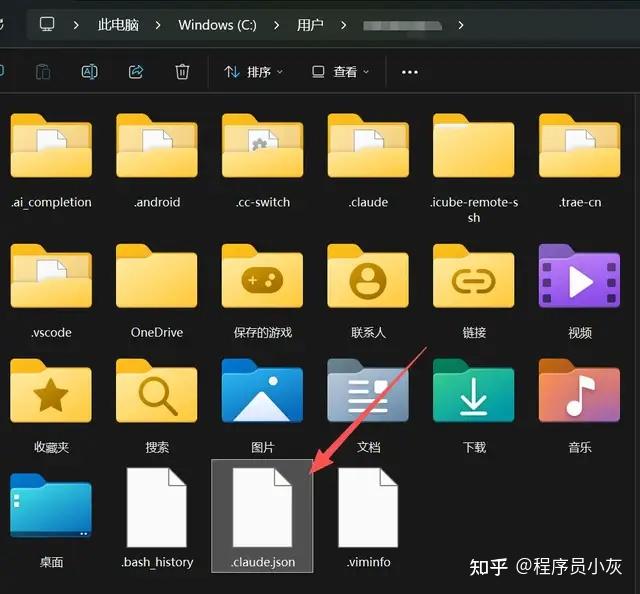 Claude Code 最详细的小白入门教程！