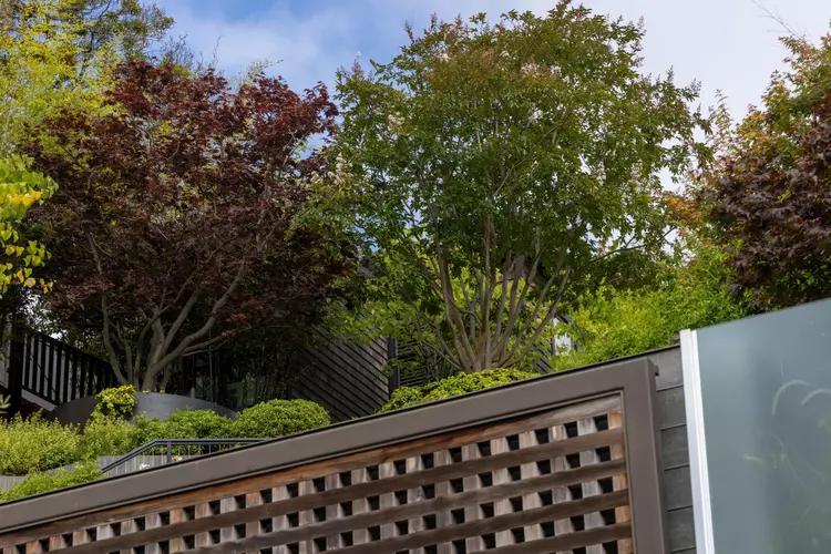 突发:奥特曼豪宅遭二次袭击,燃烧弹之后又是深夜枪响