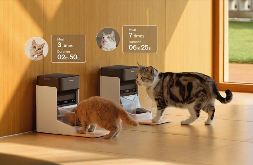 花 3000 块买的 AI 猫砂盆,结果只是个垃圾桶?