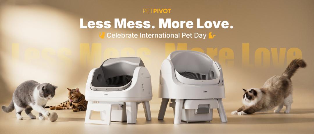 花 3000 块买的 AI 猫砂盆,结果只是个垃圾桶?