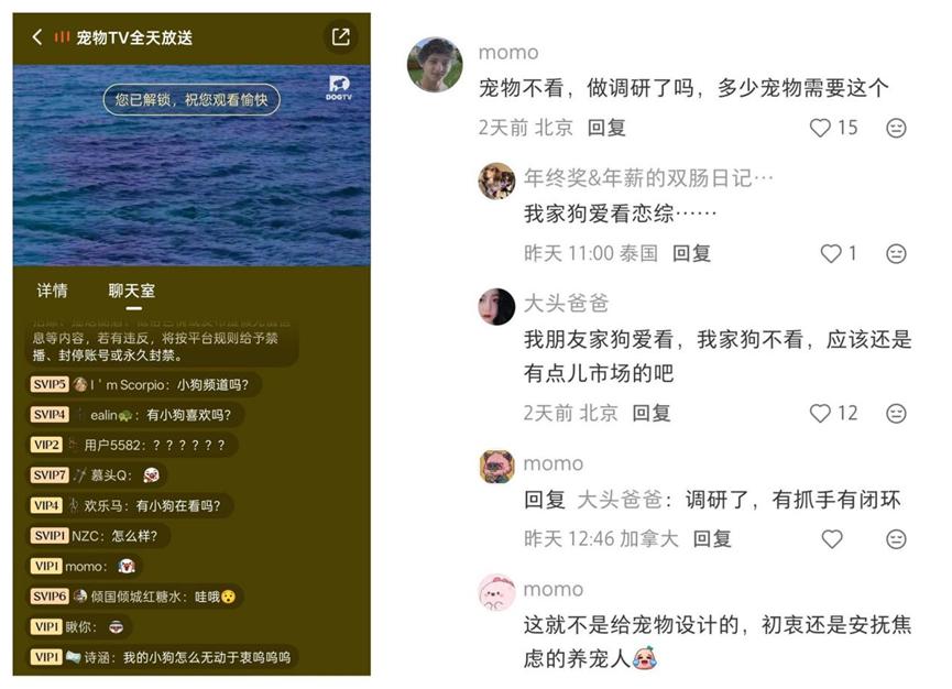 花 3000 块买的 AI 猫砂盆,结果只是个垃圾桶?