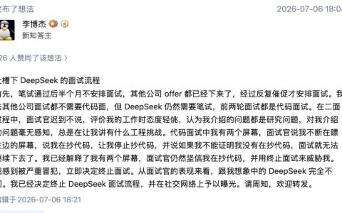 DeepSeek面试，砸碎前华为“天才少年”的“白月光”滤镜