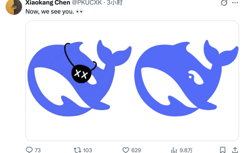 DeepSeek「开眼」引爆AI圈：我用12张刁钻图片，试出了它的能力边界