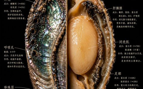 GPT-image-2 ｜博物标本解刨风格