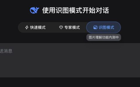 DeepSeek识图模式是个新模型？一手实测在此