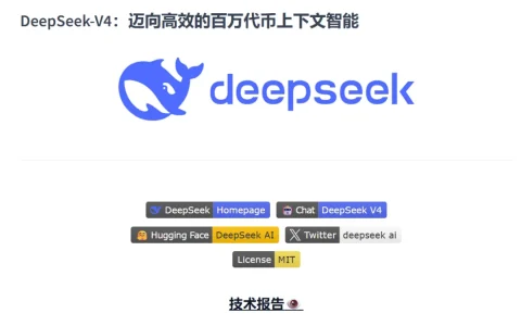 深度解析：DeepSeek不差钱，为什么还要融500亿？