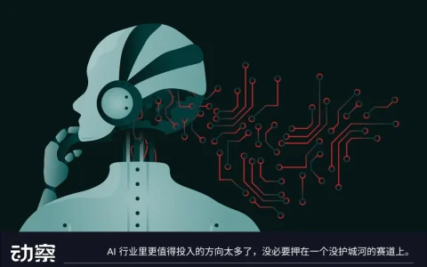 做了半年Token黄牛，她踩了中转站所有的坑