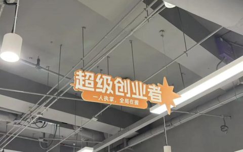 一人公司，风口还是泡沫？