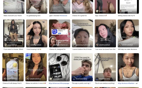 独家｜美图入局 Visual Agent，Chance AI 完成数百万美元天使轮融资