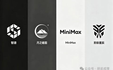 Coding拷问一切，独立大模型赛道的两年生死（上篇）