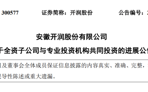 DeepSeek估值，被一家安徽箱包公司给全部暴露了