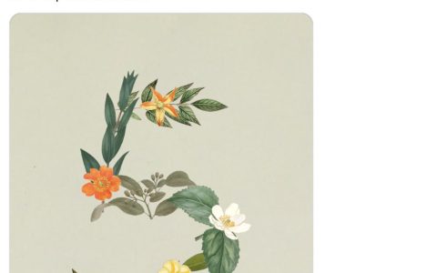 刚刚，Anthropic发布Sonnet 5，性能接近Opus 4.8，但不一定更便宜