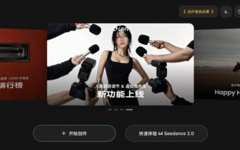 杀不死比赛的Liblib们，为什么还在被资本追捧